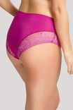 Трусики бріфи високі Panache Sculptresse Roxie 9582