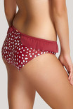 Купальные плавки Panache Anya Riva 1409