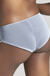 Трусики брифы Panache Clara 7253