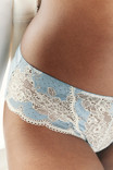 Трусики брифы Panache Clara 7253