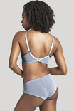 Трусики брифы Panache Clara 7253