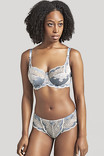 Трусики брифы Panache Clara 7253