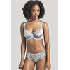 Трусики брифы Panache Clara 7253