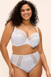 Трусики брифы Elomi EL4498 Lucie